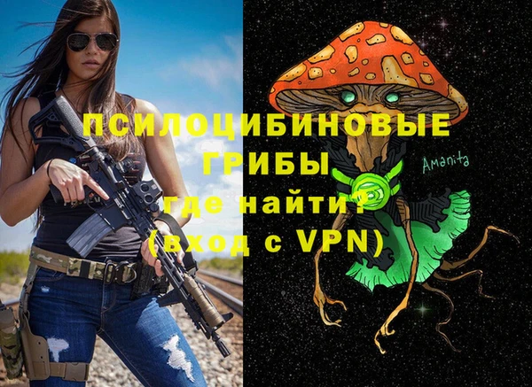 бошки Ветлуга