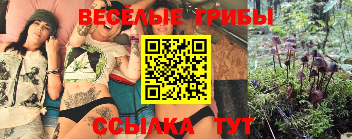 Псилоцибиновые грибы мухоморы Махачкала