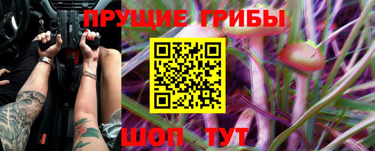 Псилоцибиновые грибы GOLDEN TEACHER  Галлюциногенные грибы Psilocybe  Вход с VPN  Махачкала 