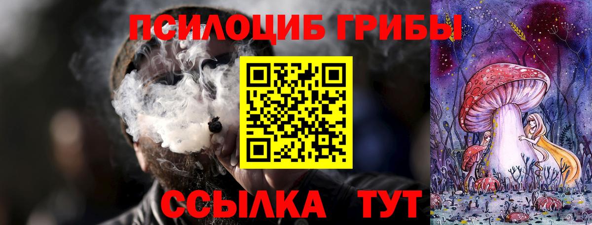 где купить наркоту  Махачкала  Псилоцибиновые грибы мицелий 